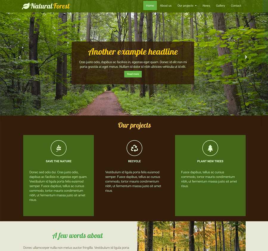 Natural Forest